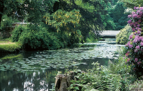 gut-boeckel-bach-park-blumen Grüner Park mit Gewässer bei Gut Böckel