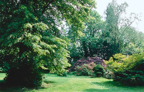 gut-boeckel-bach-park-pflanzen-natur park von gut böckel